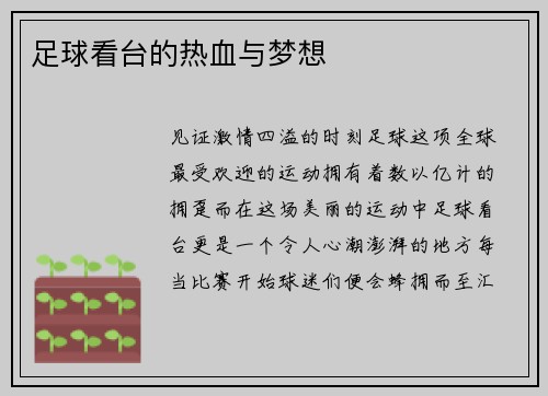 足球看台的热血与梦想